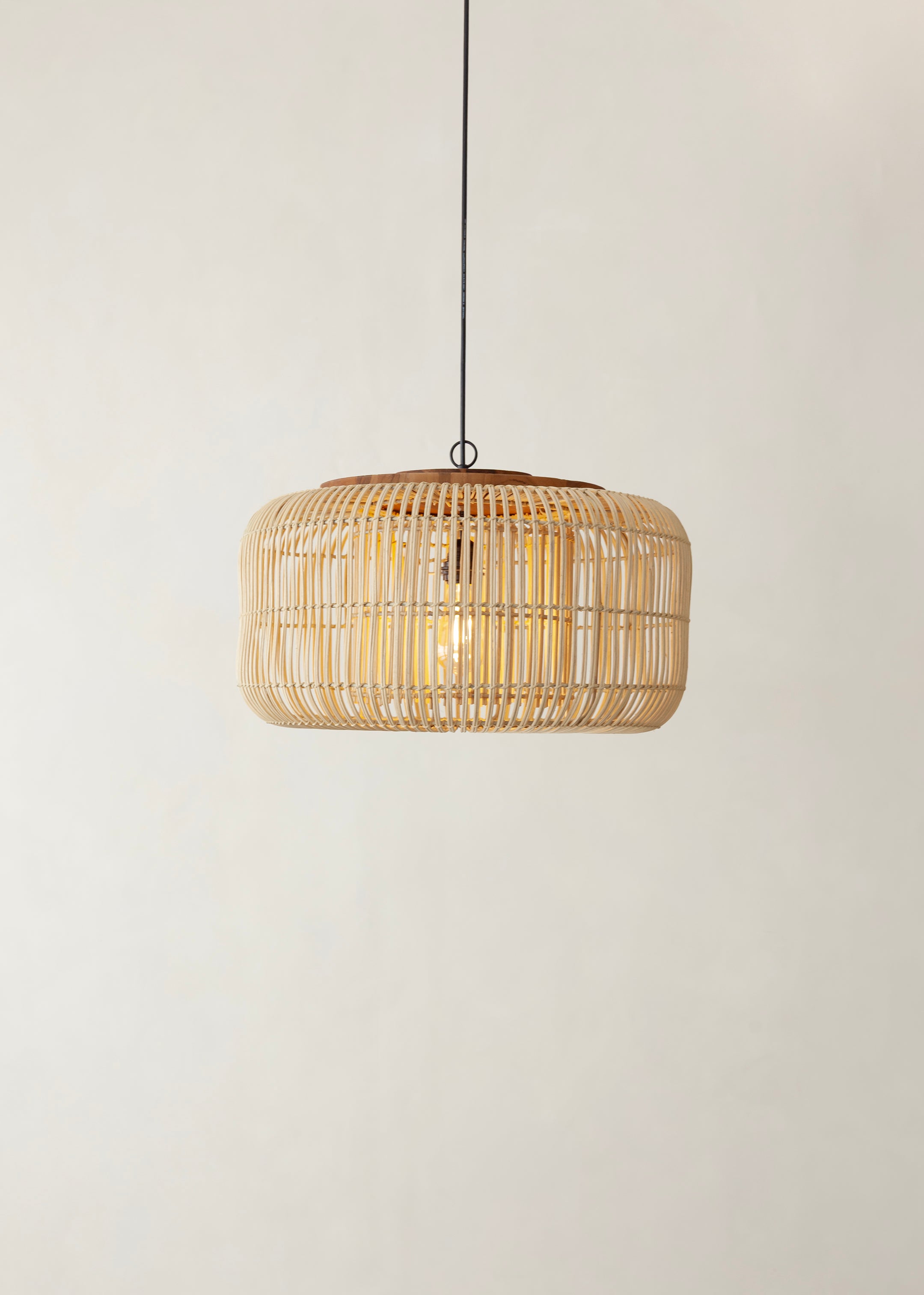 Asta Pendant / Natural