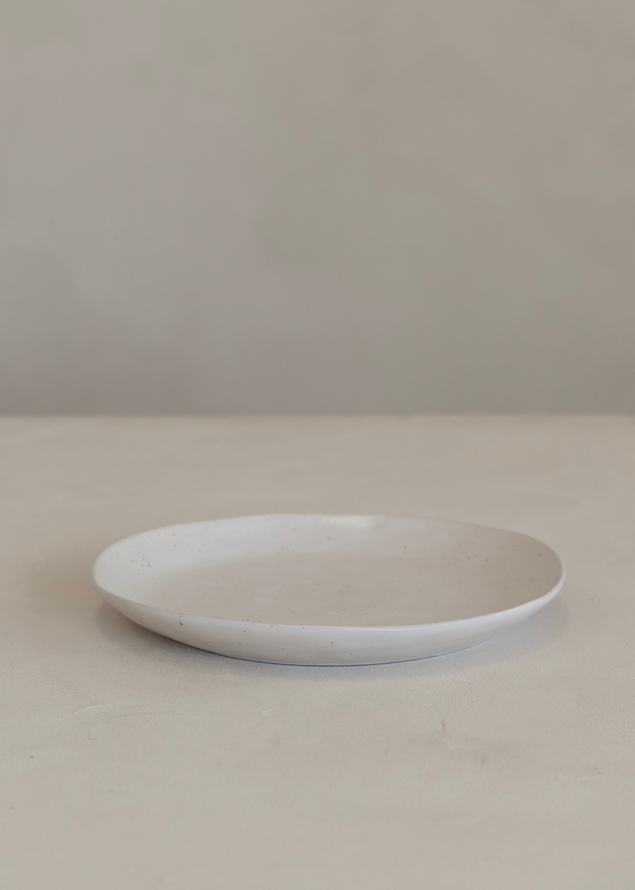 Earth Dinner Plate / Natural