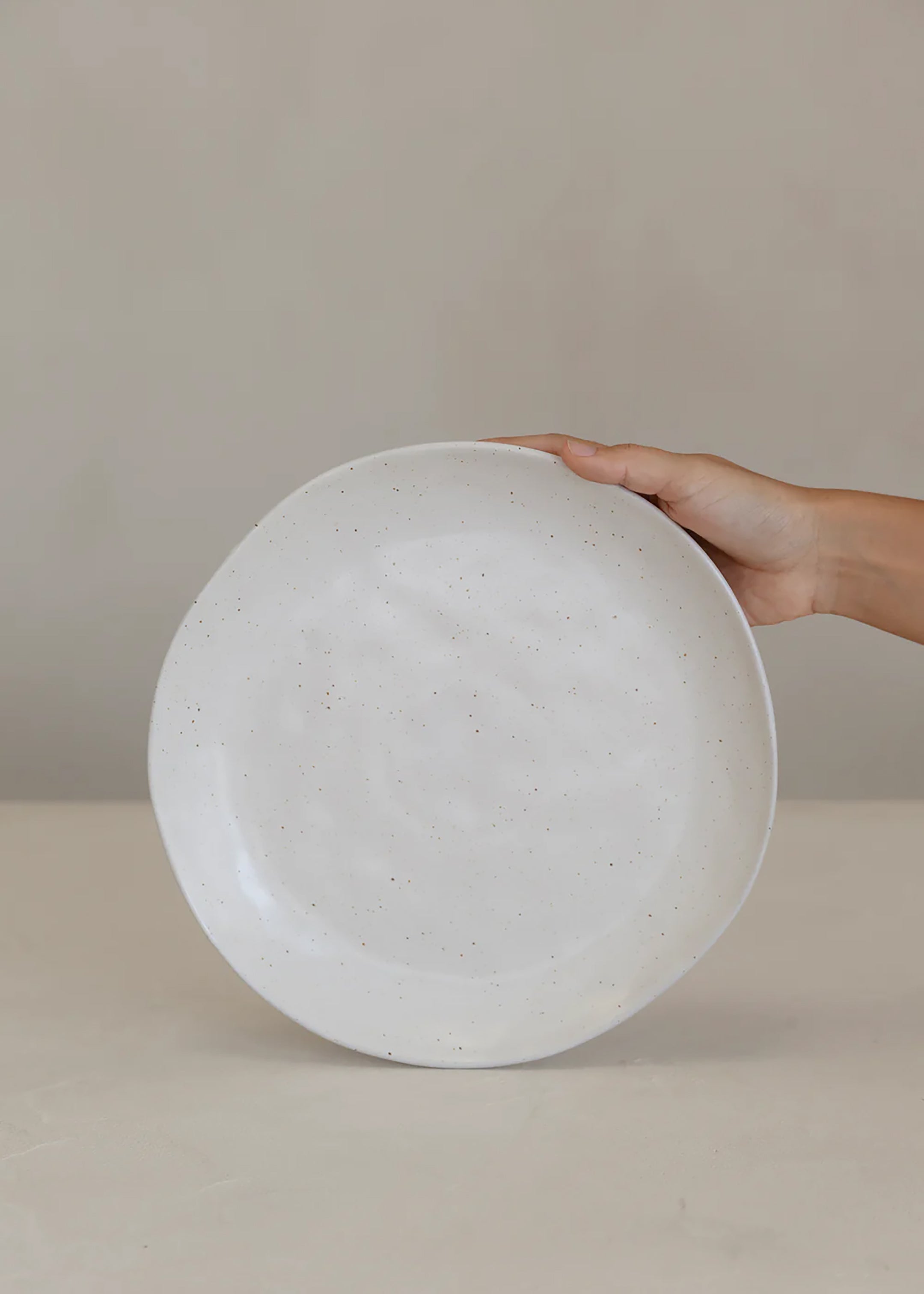 Earth Dinner Plate / Natural