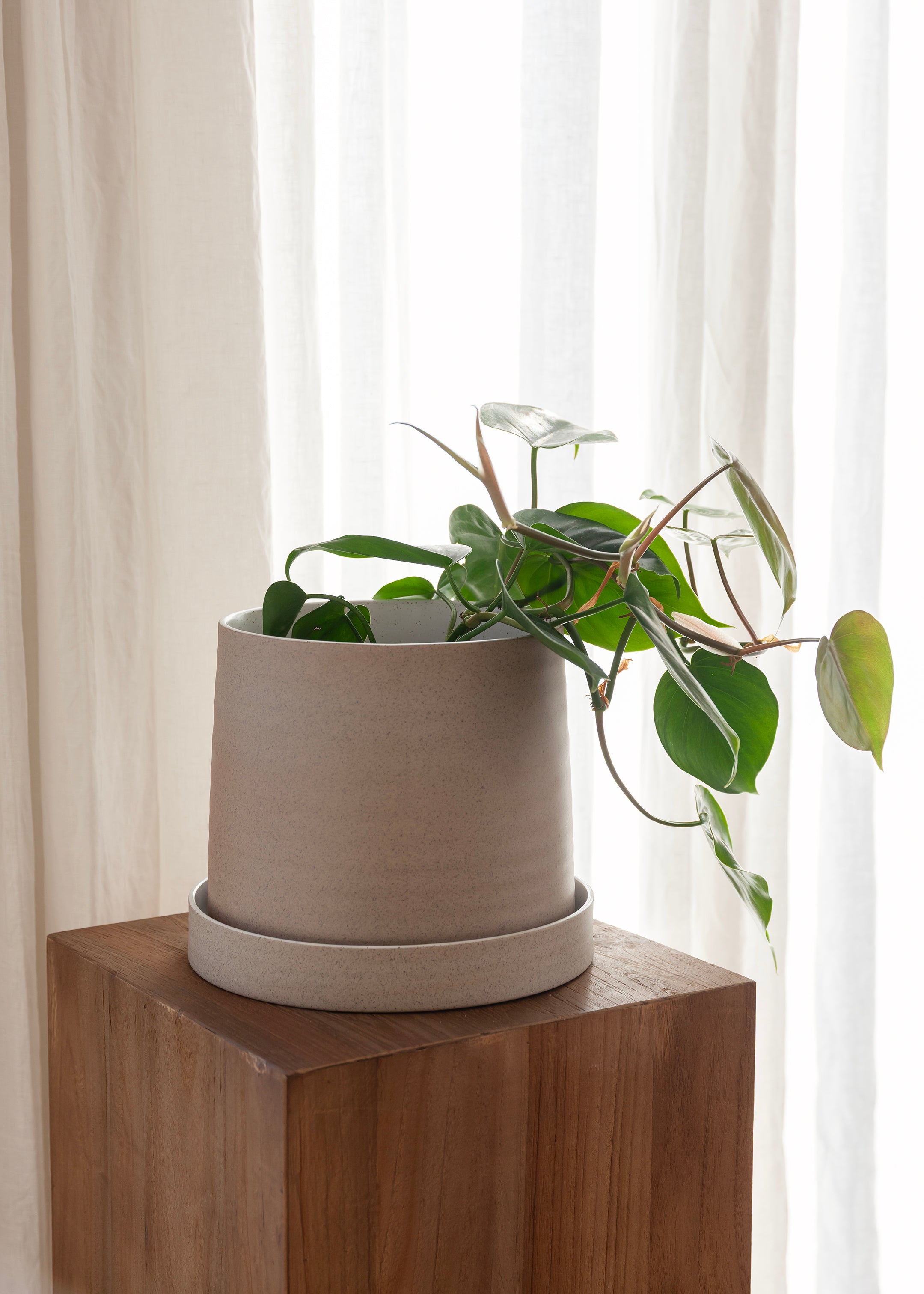 Garden To Table Plant Pot