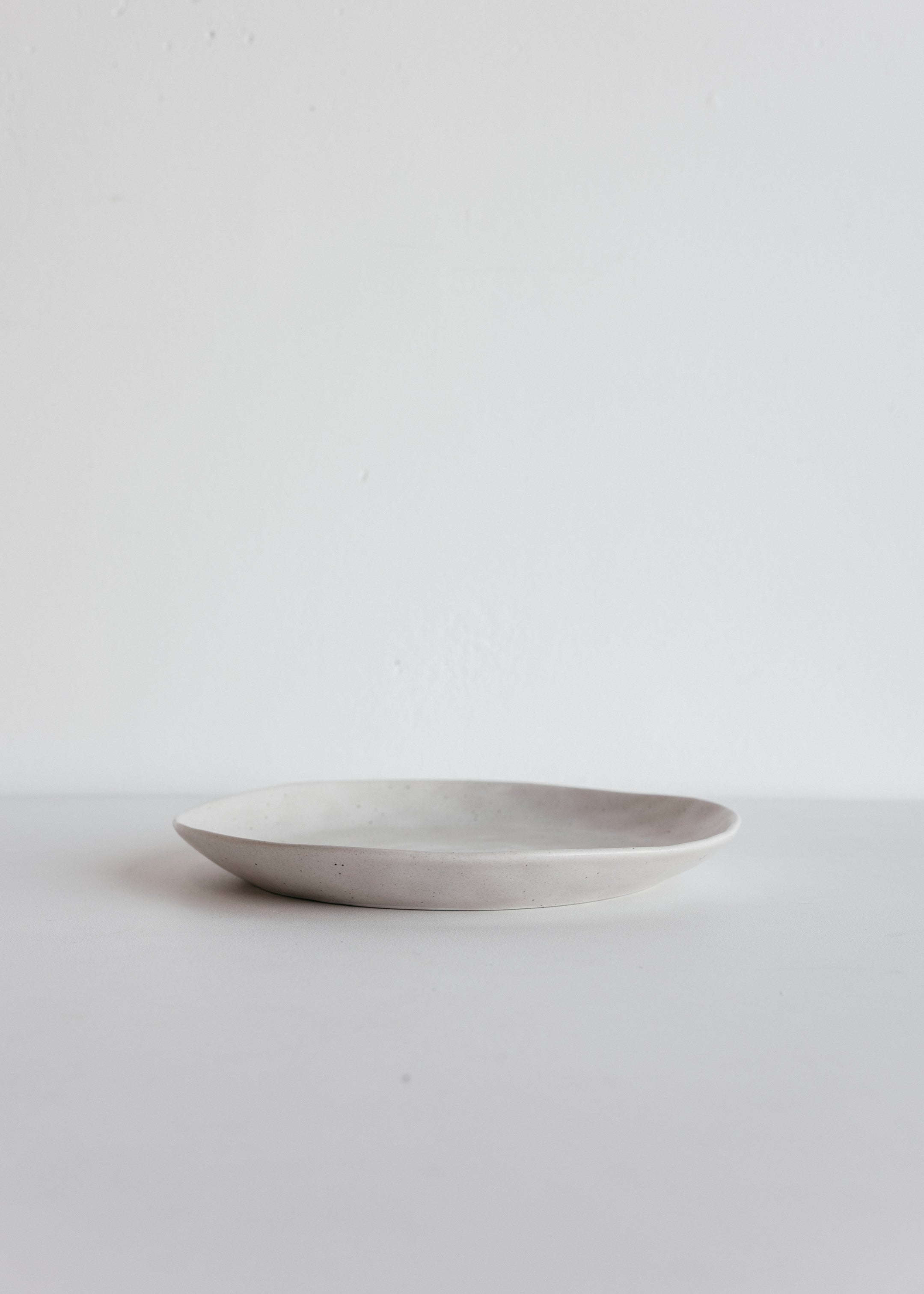 Earth Dinner Plate / Natural