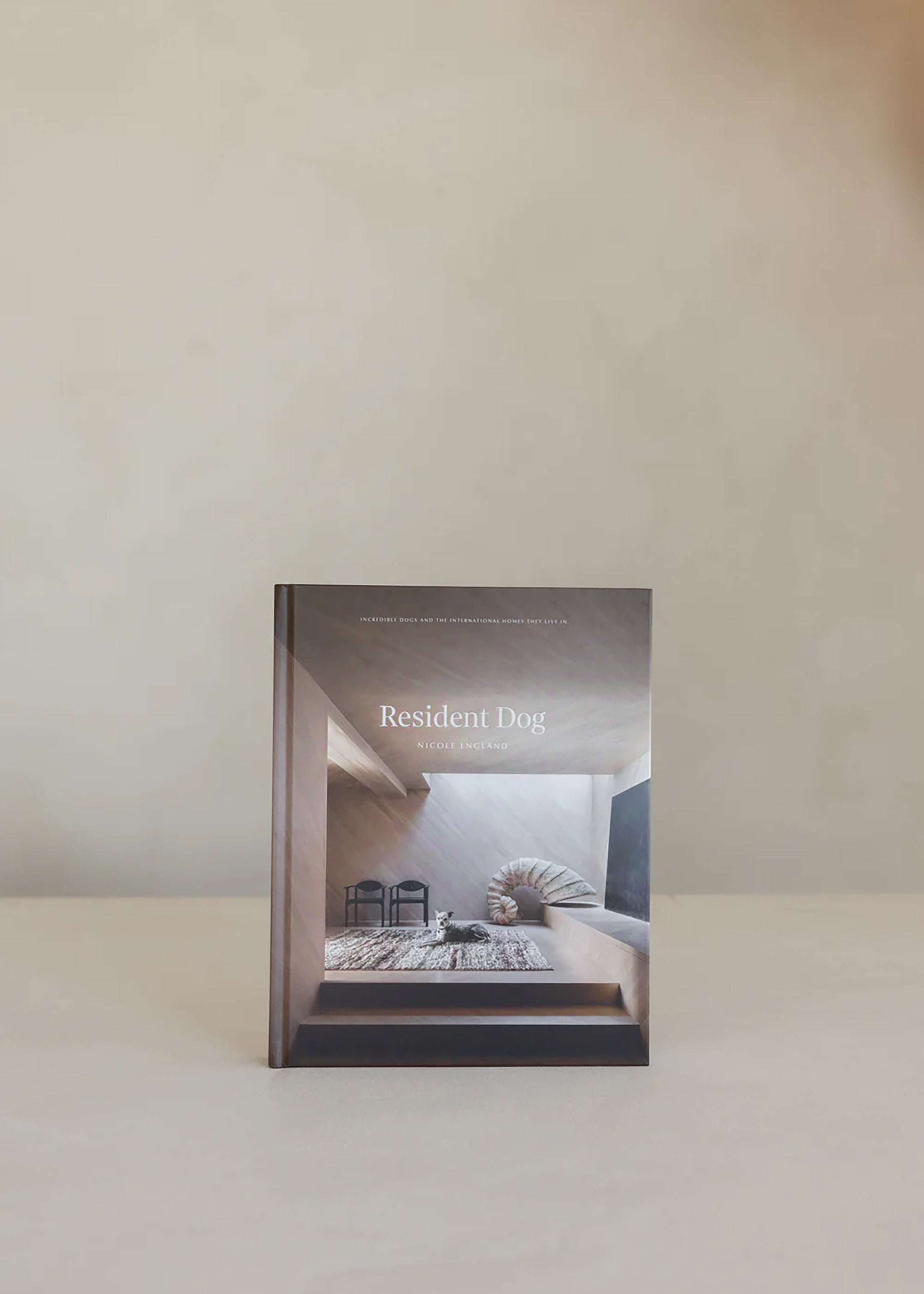 Resident Dog Volume 2