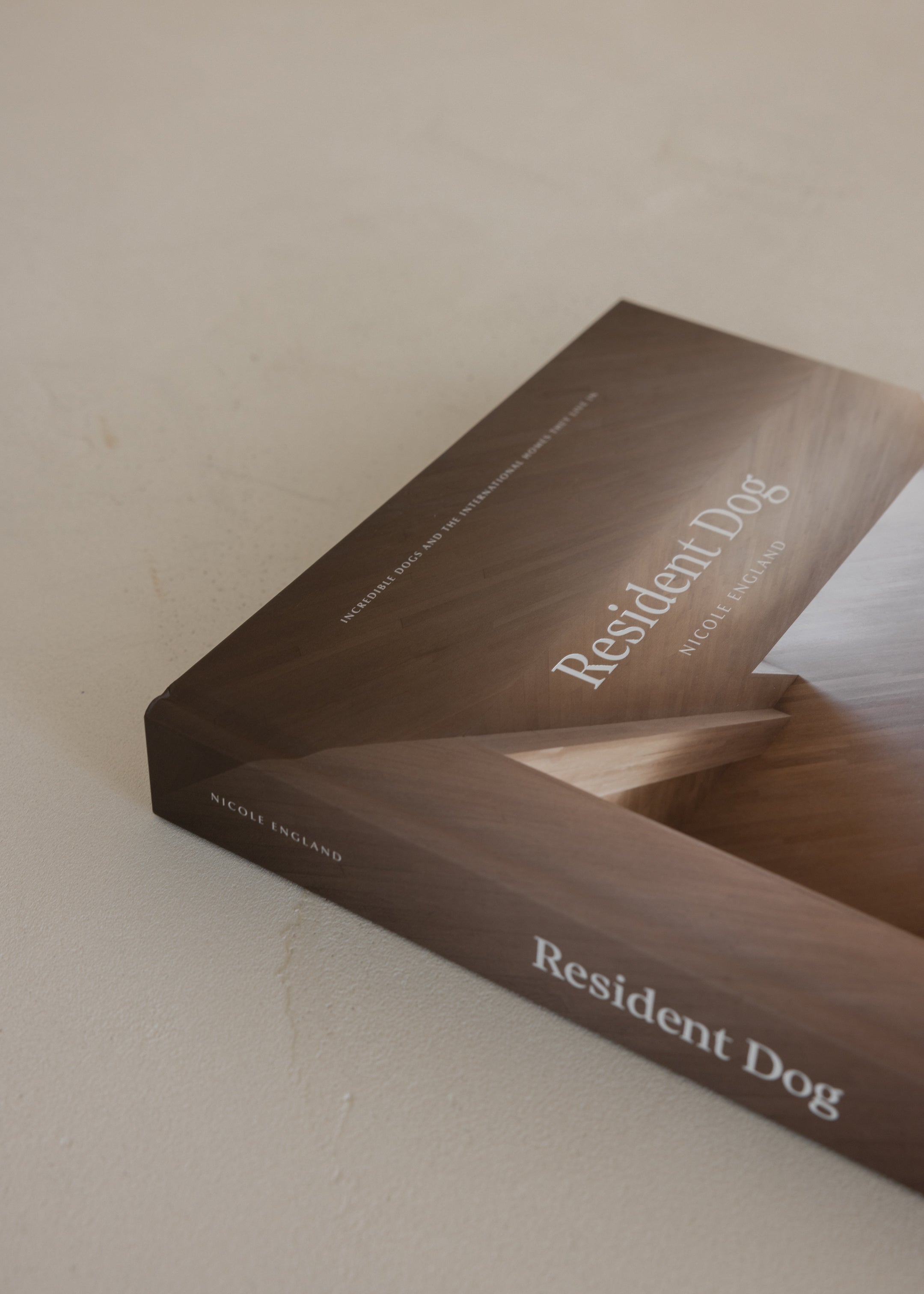 Resident Dog Volume 2