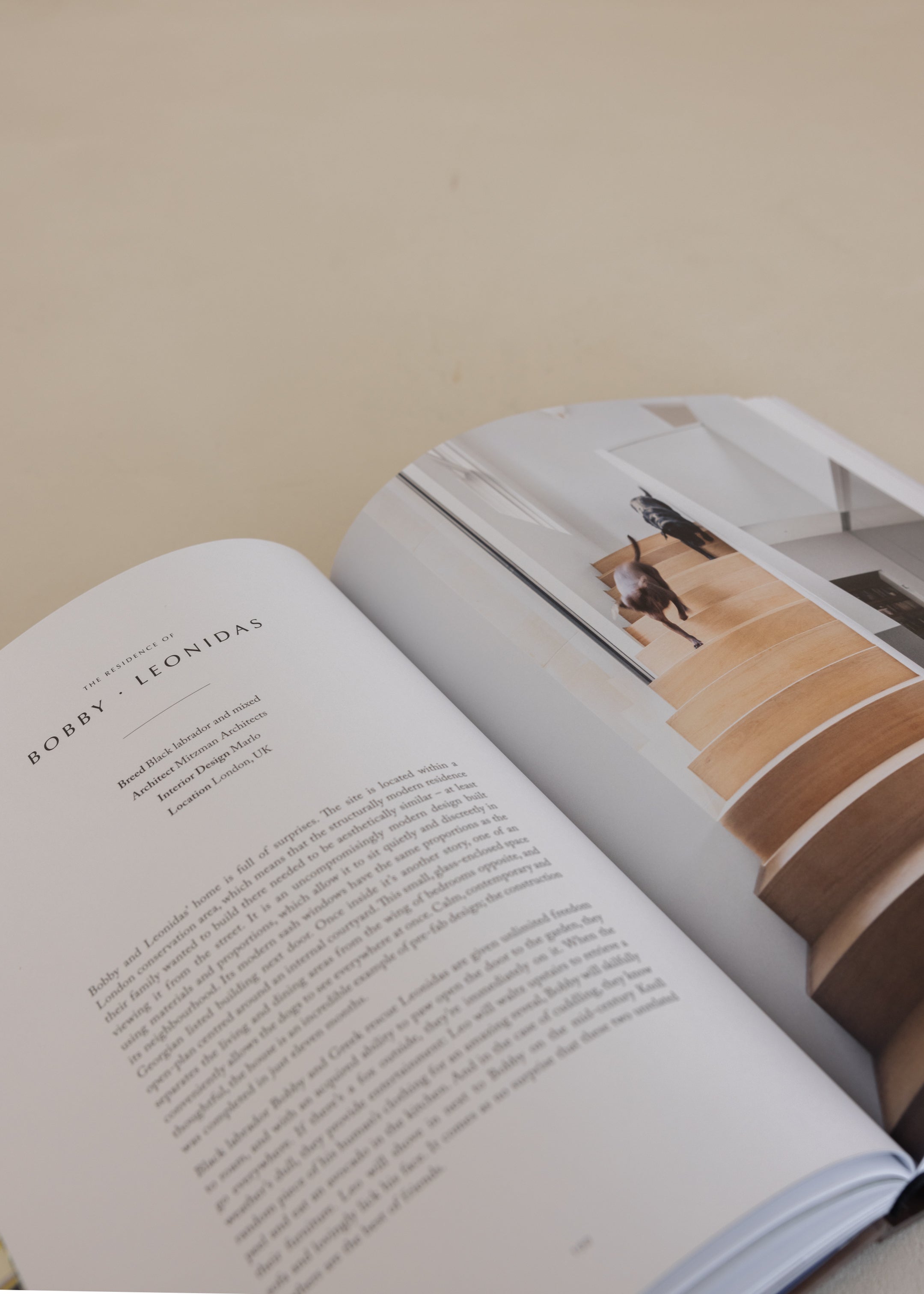 Resident Dog Volume 2