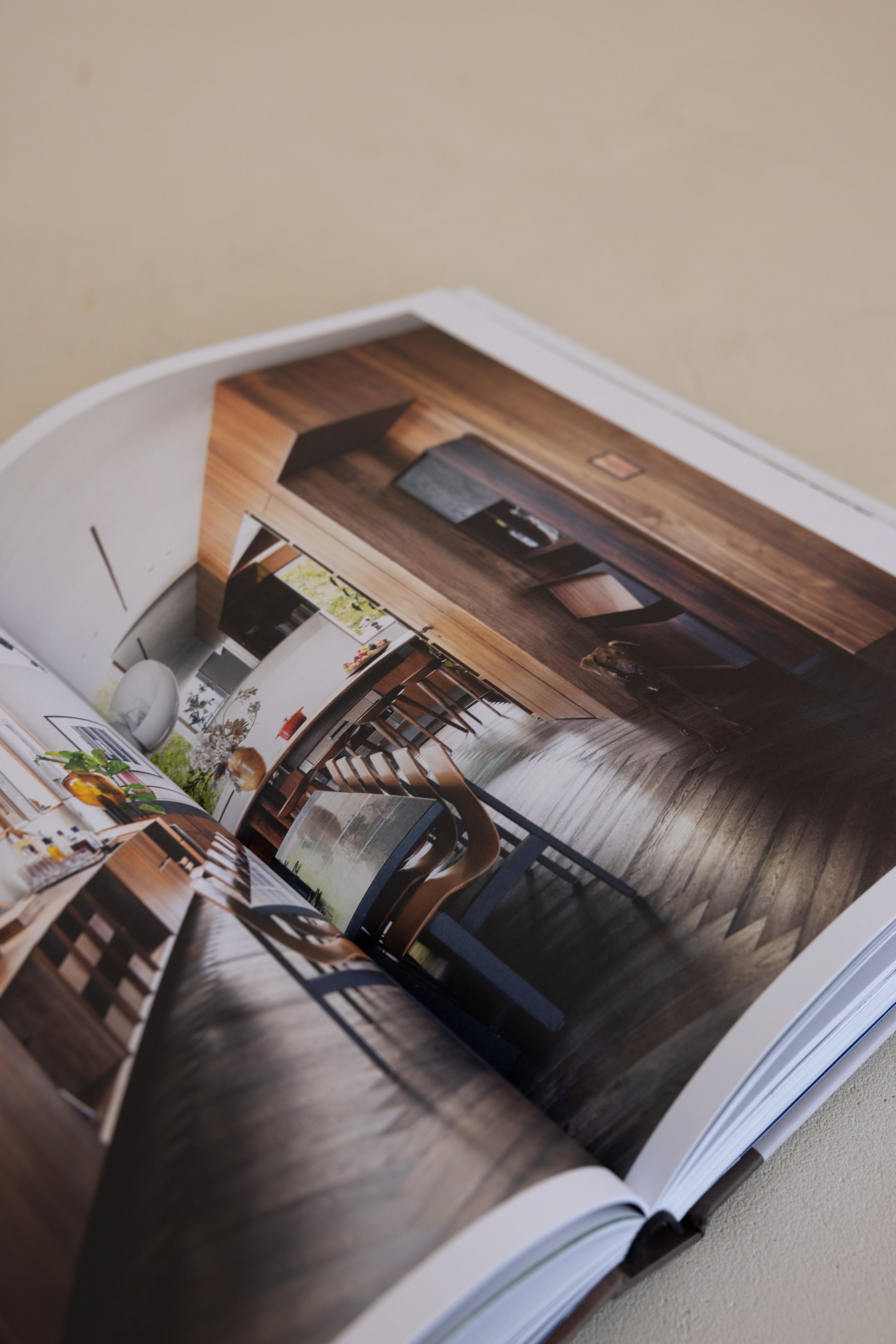 Resident Dog Volume 2