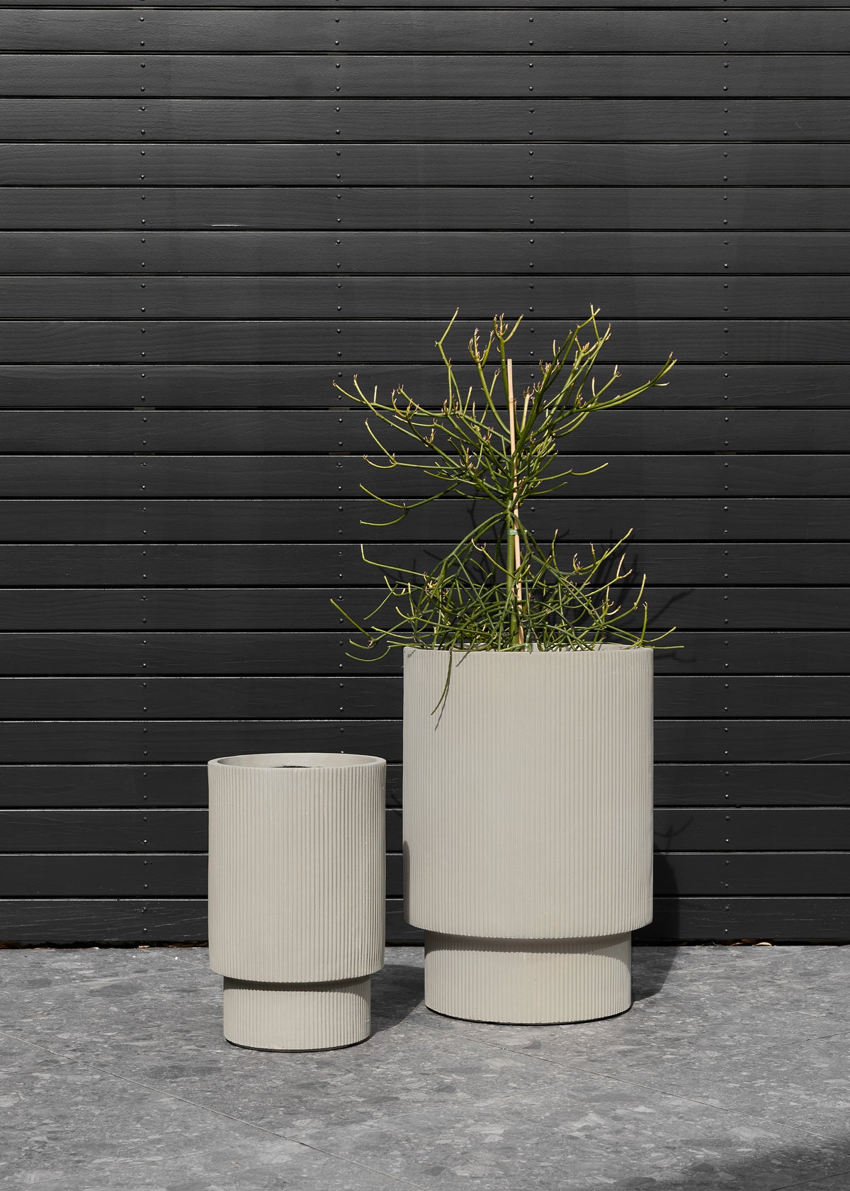 Reid Pot / Smoke