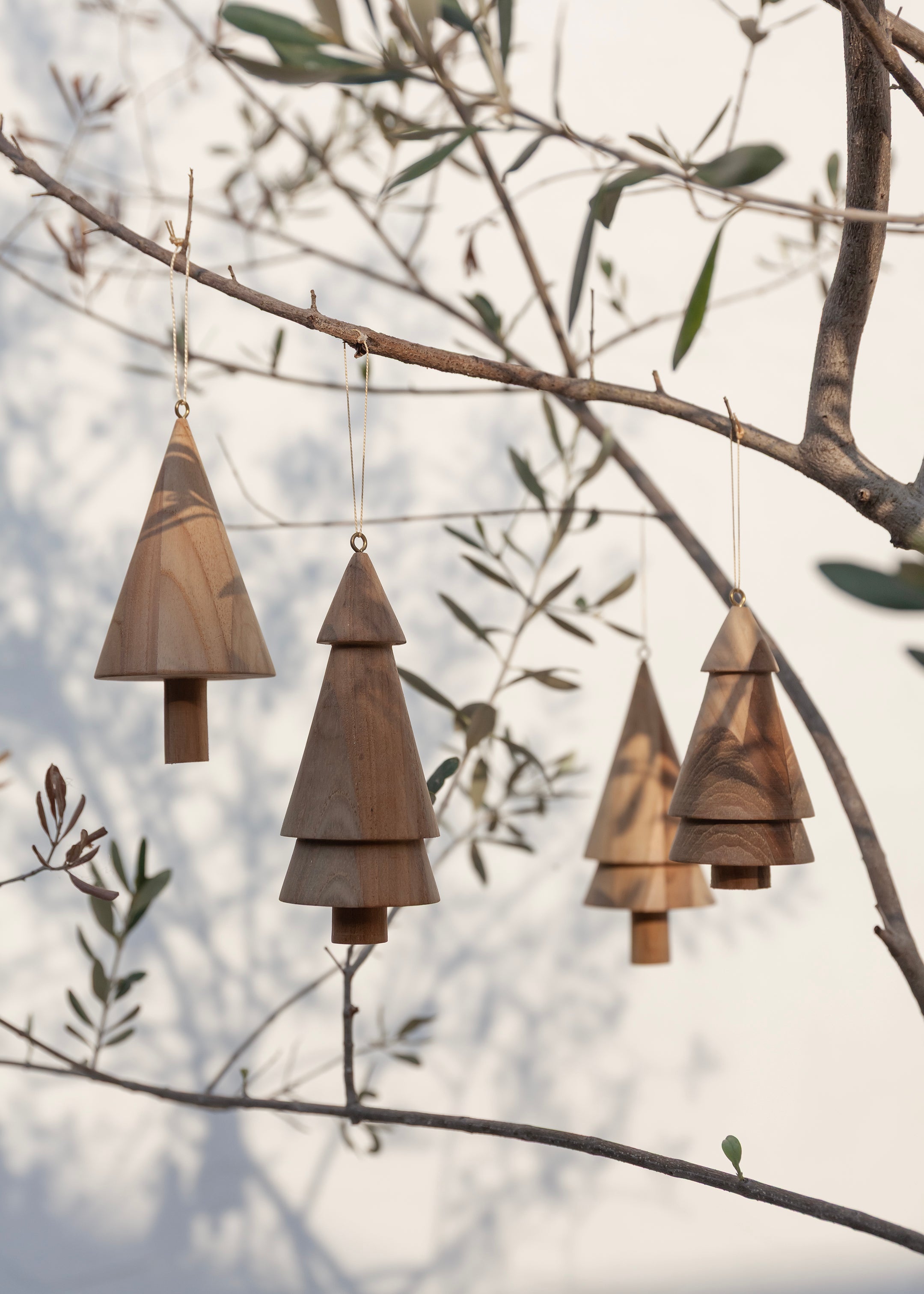 Silent Trees Set of 4 / Natural