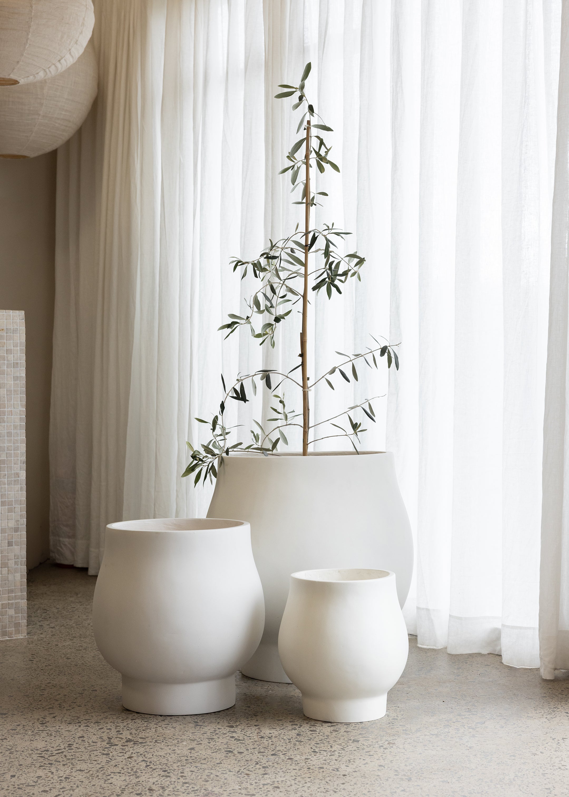 Tas Pot / Ivory