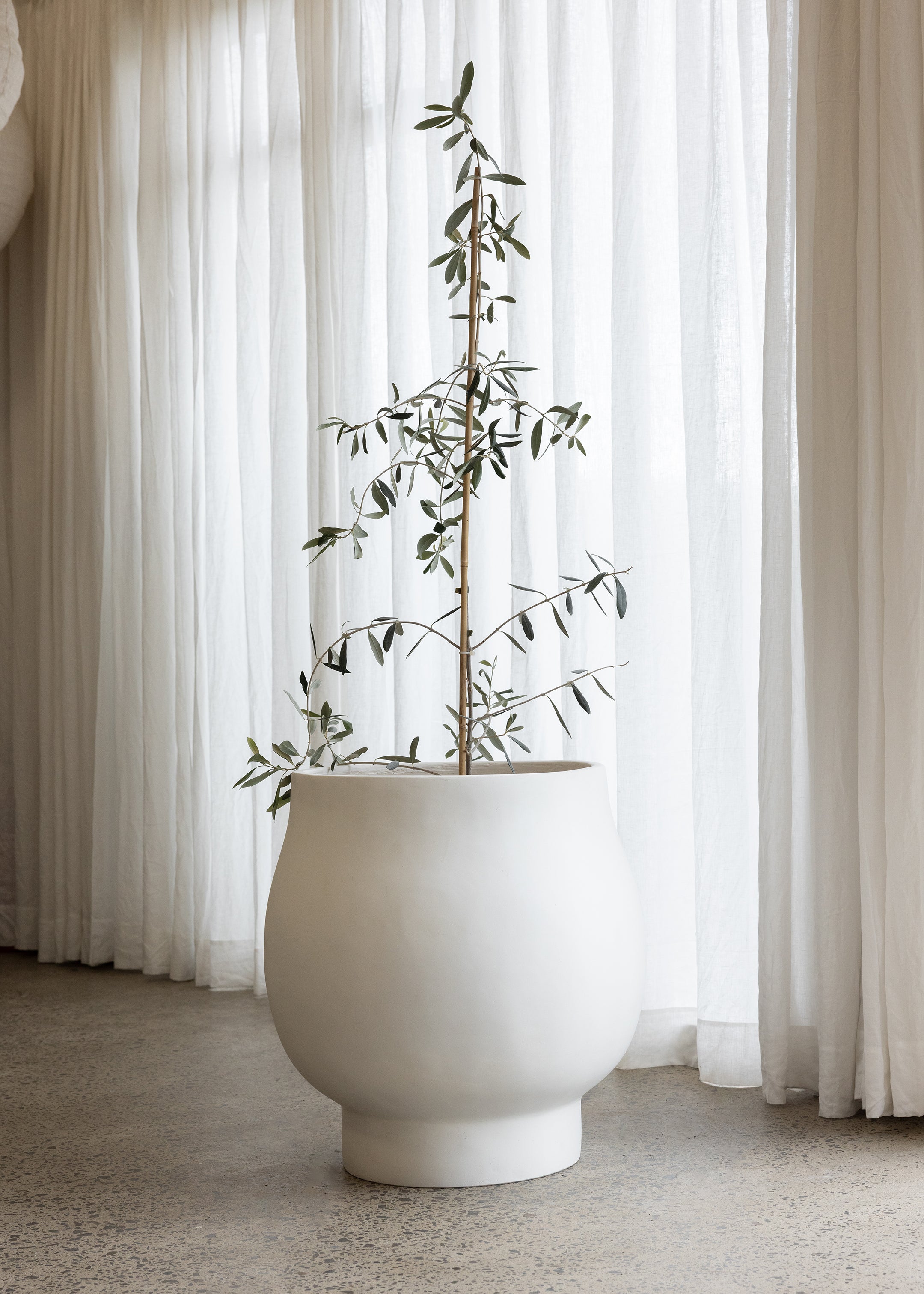 Tas Pot / Ivory