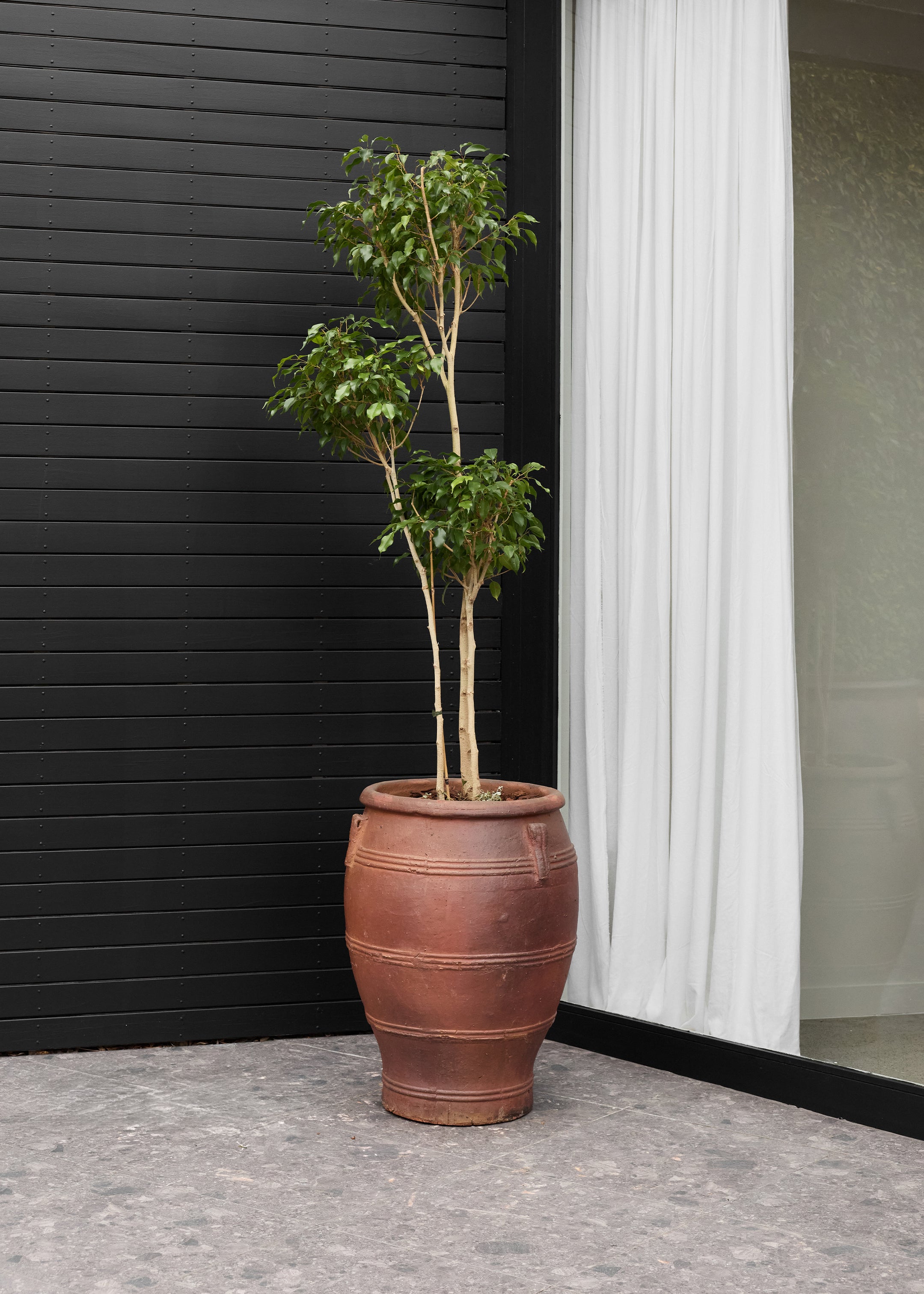 Bursa Black Soil Pot