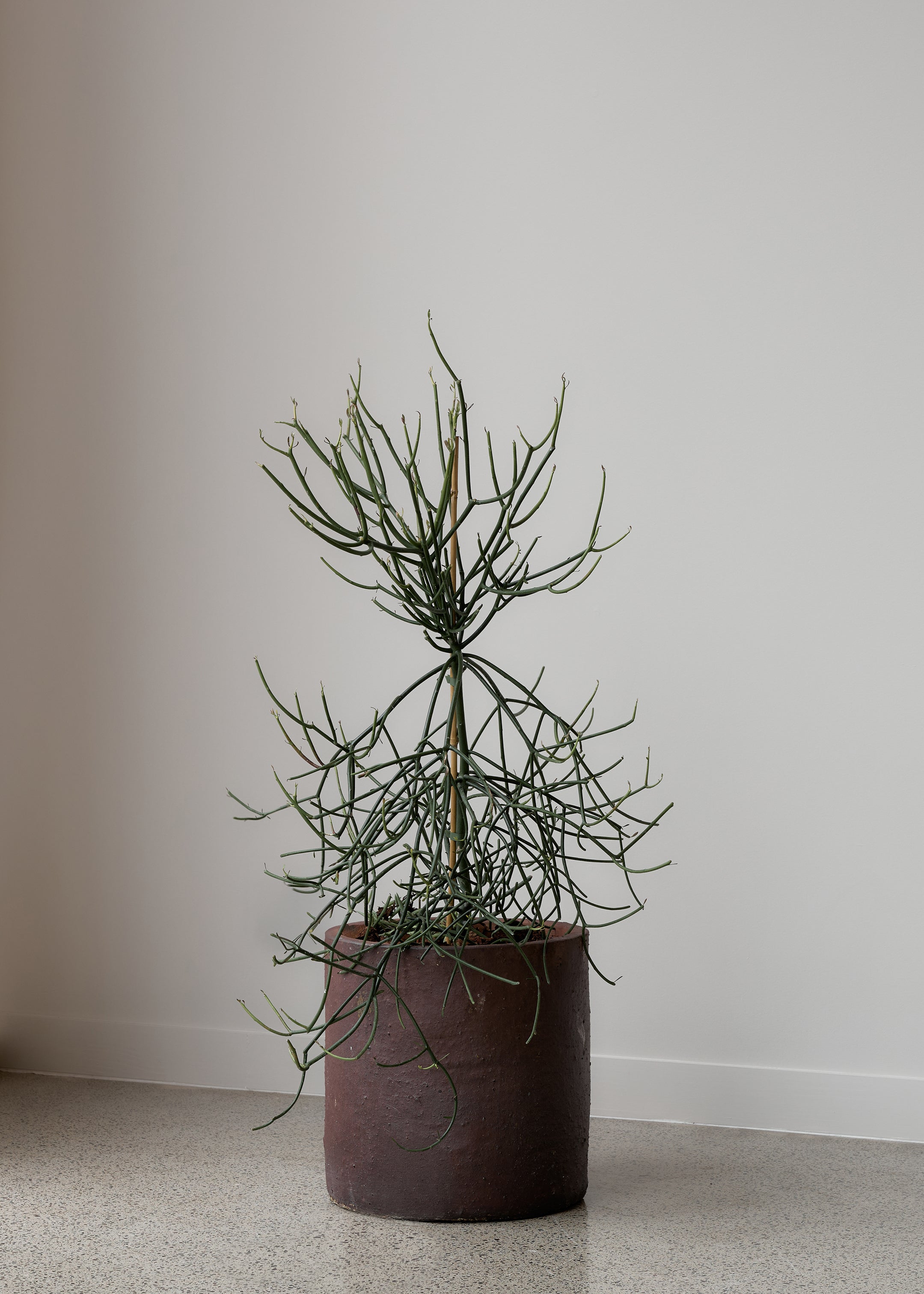 Edin Black Soil Pot