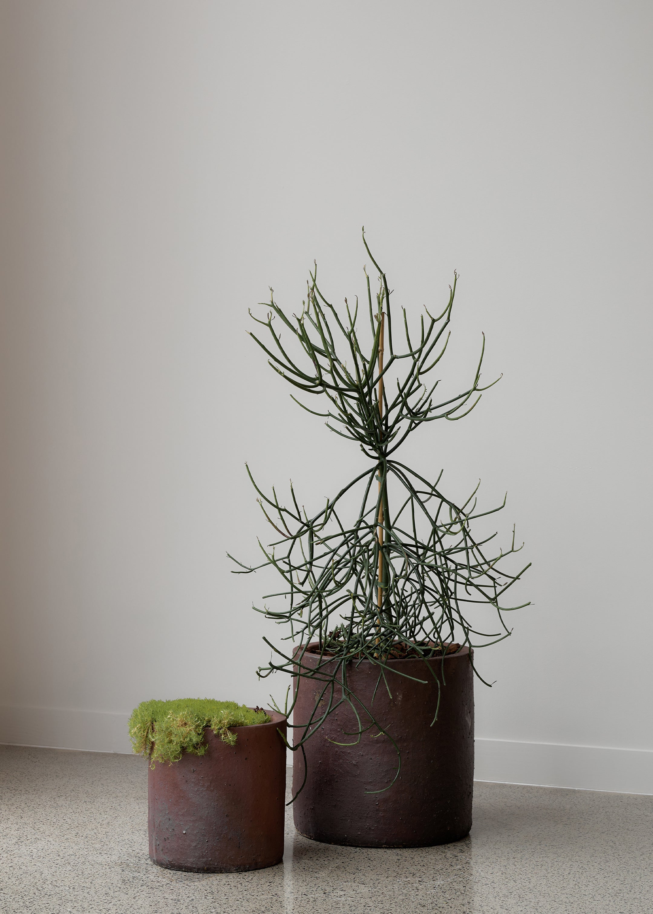 Edin Black Soil Pot