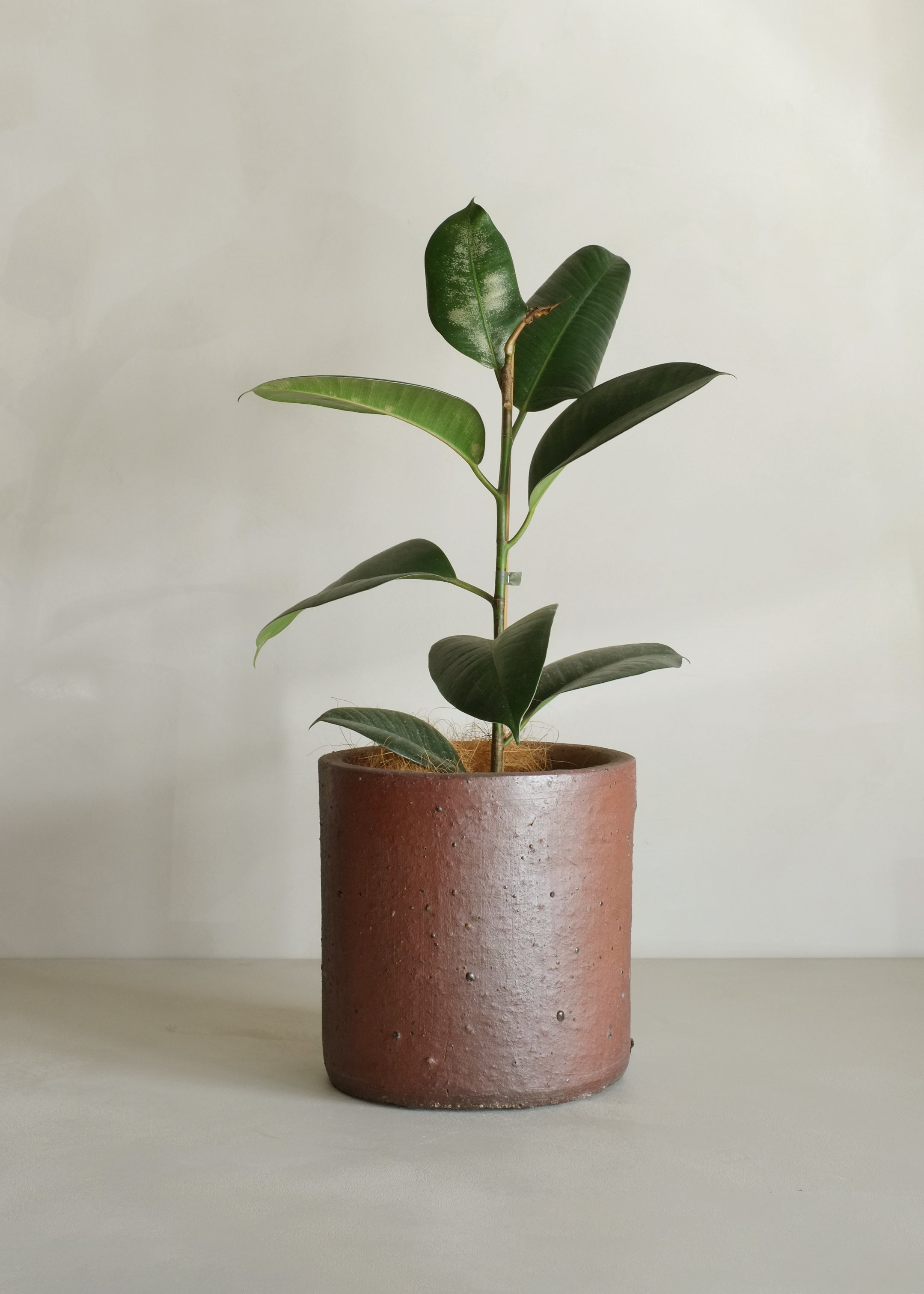 Edin Black Soil Pot