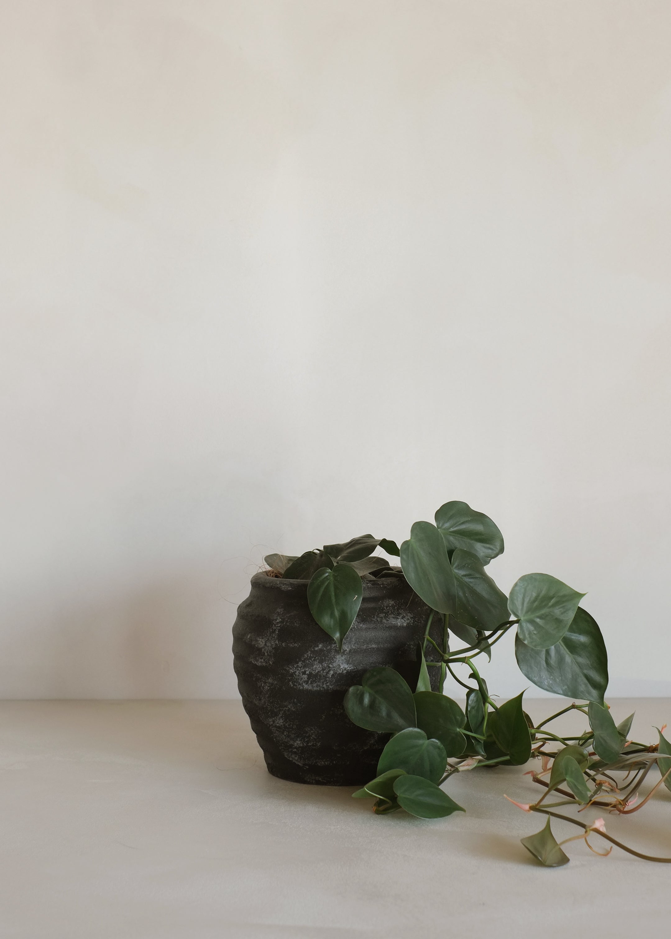 Nemu Antique Vase / Black