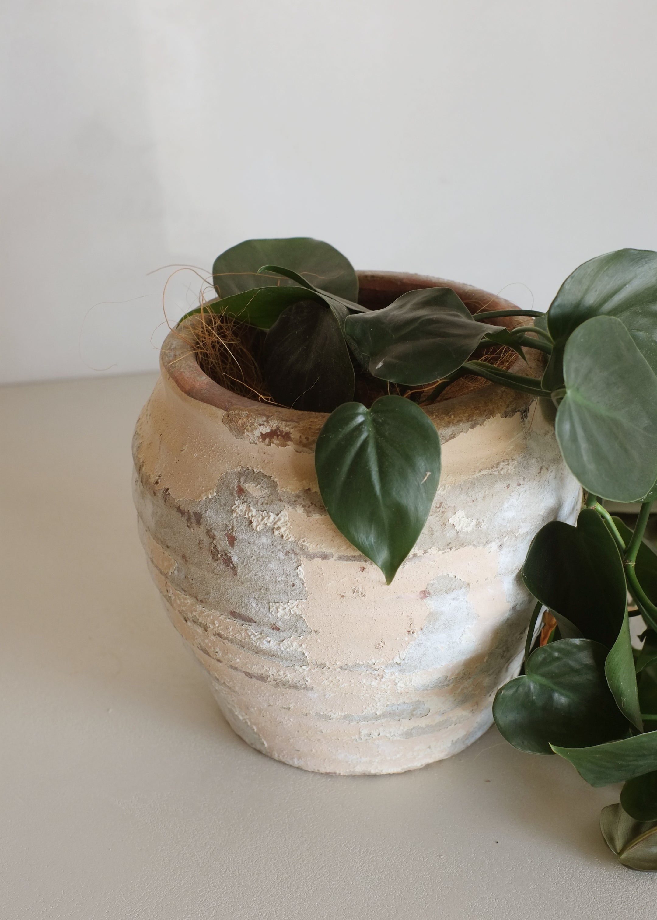 Nemu Antique Vase / Brown