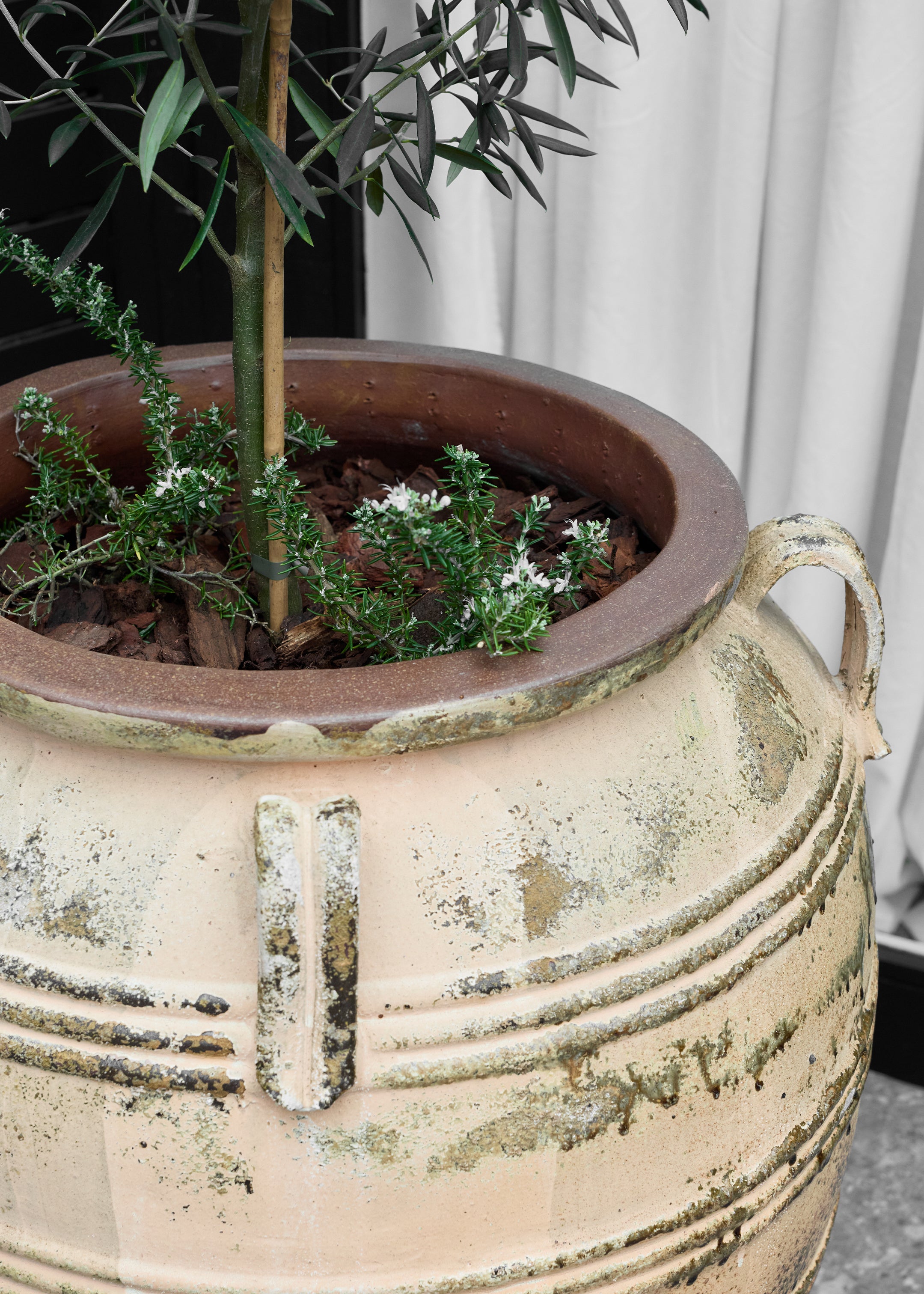 Pamu Antique Pot