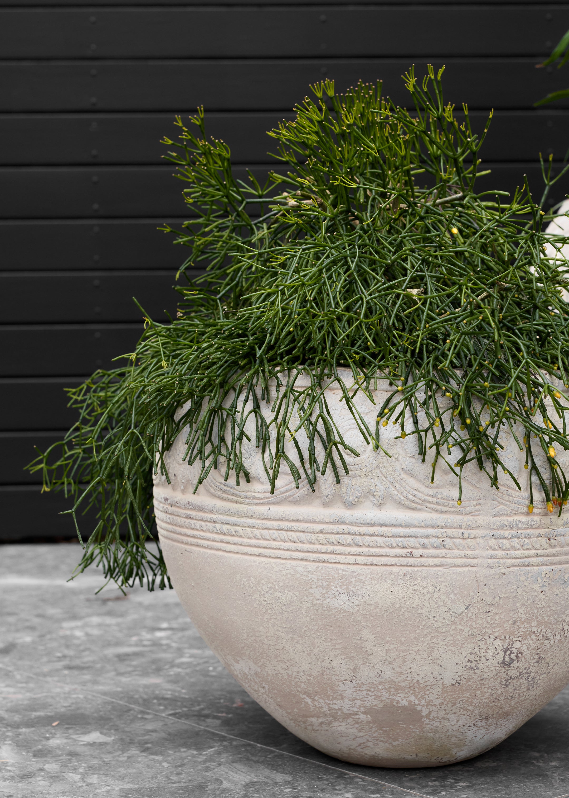 Sumela Antique Pot / Small