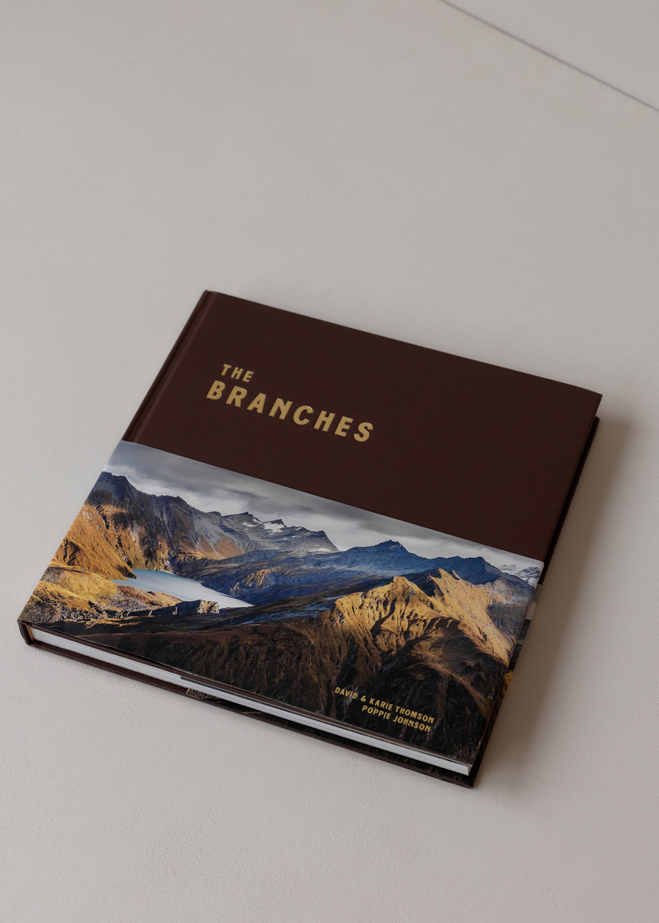 The Branches