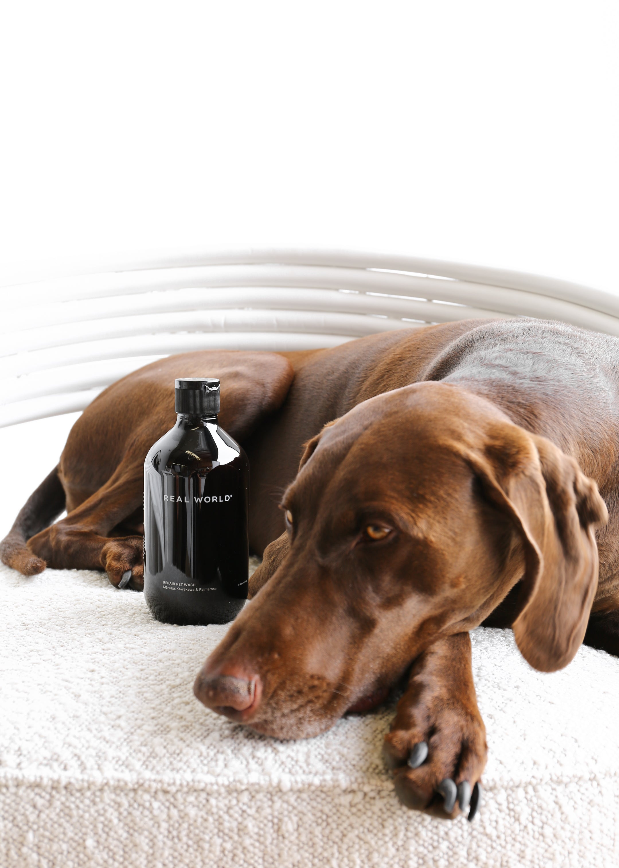 REVIVE PET WASH Manuka, Kawakawa & Palmarosa