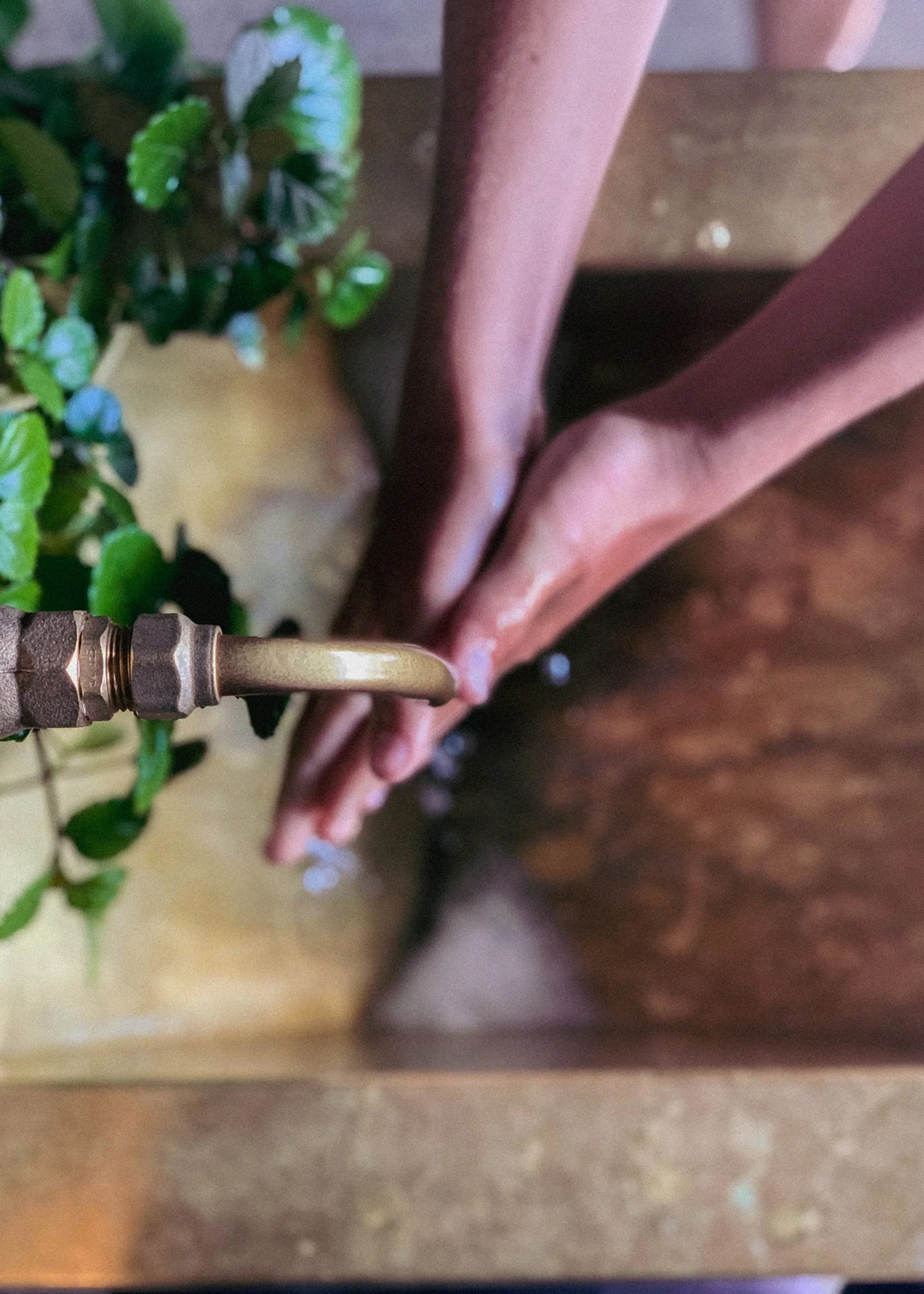 Rest Hand Wash / Mānuka & Rose Geranium