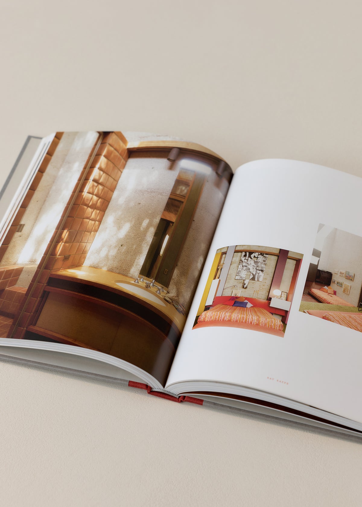 Interior Portraits / At Home with Cultural Pioneers & Mavericks