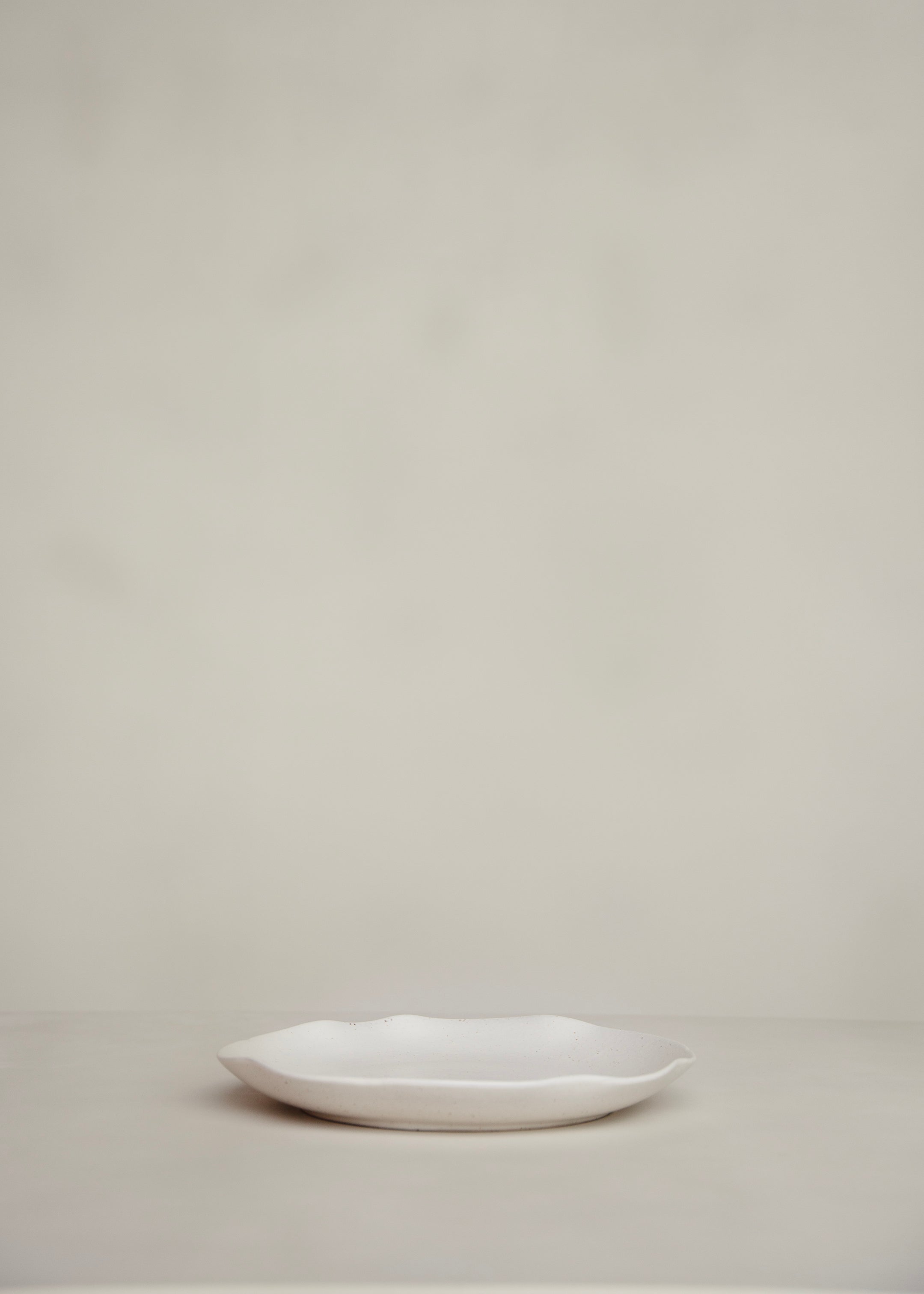 Biyung Plate 30cm / Speckled White