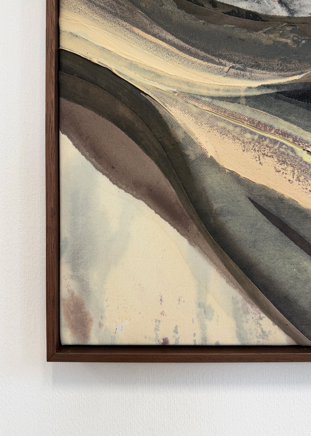 She Softened / Meg Gallagher