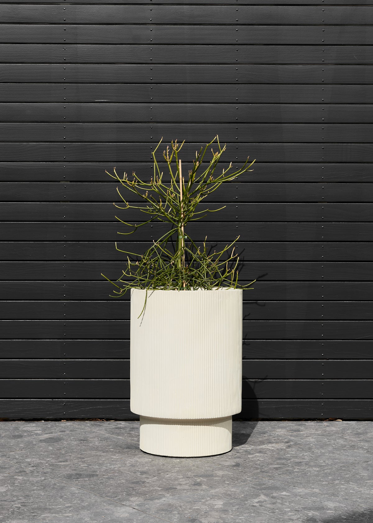 Reid Pot / Light Beige