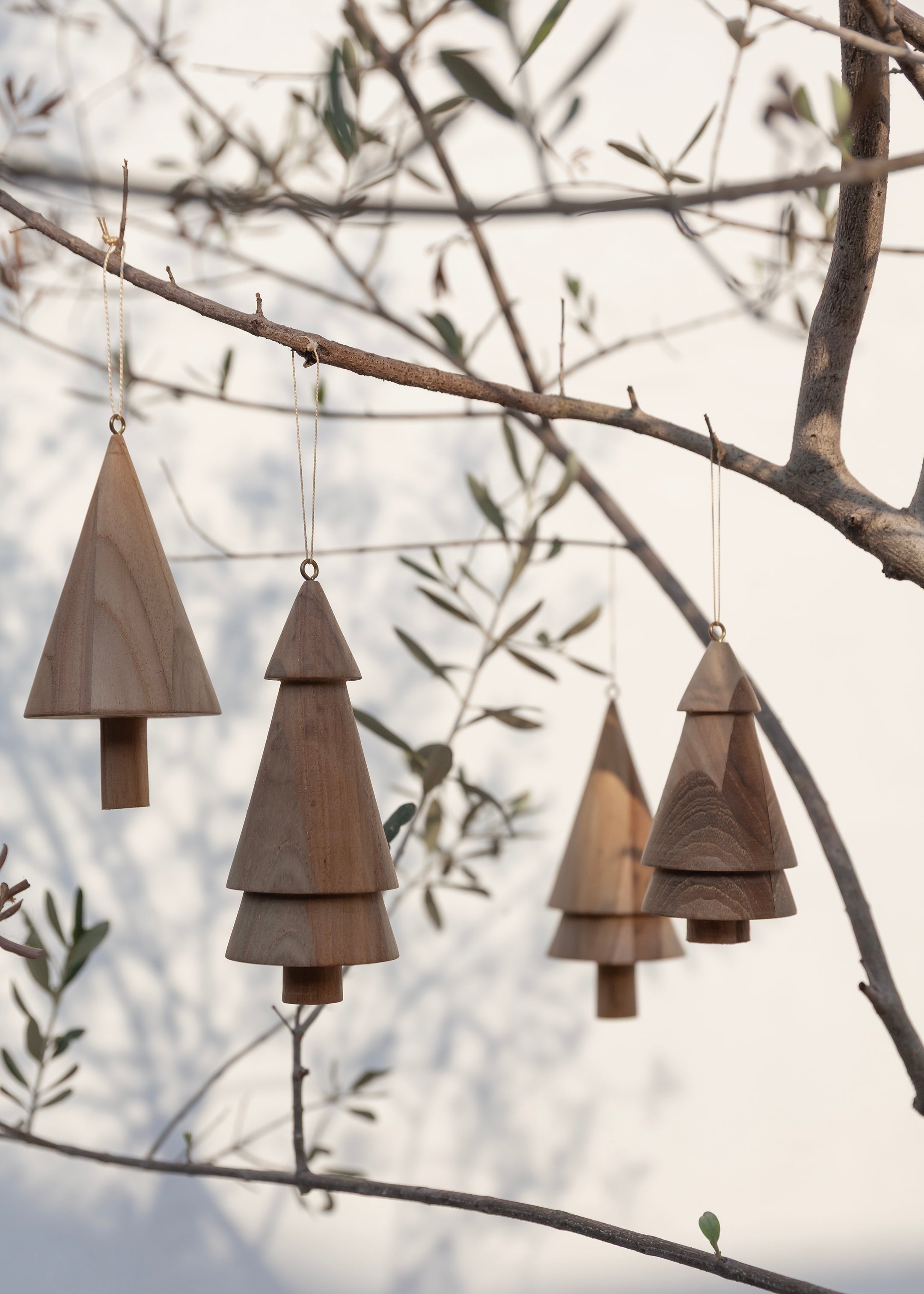 Silent Trees Set of 4 / Natural