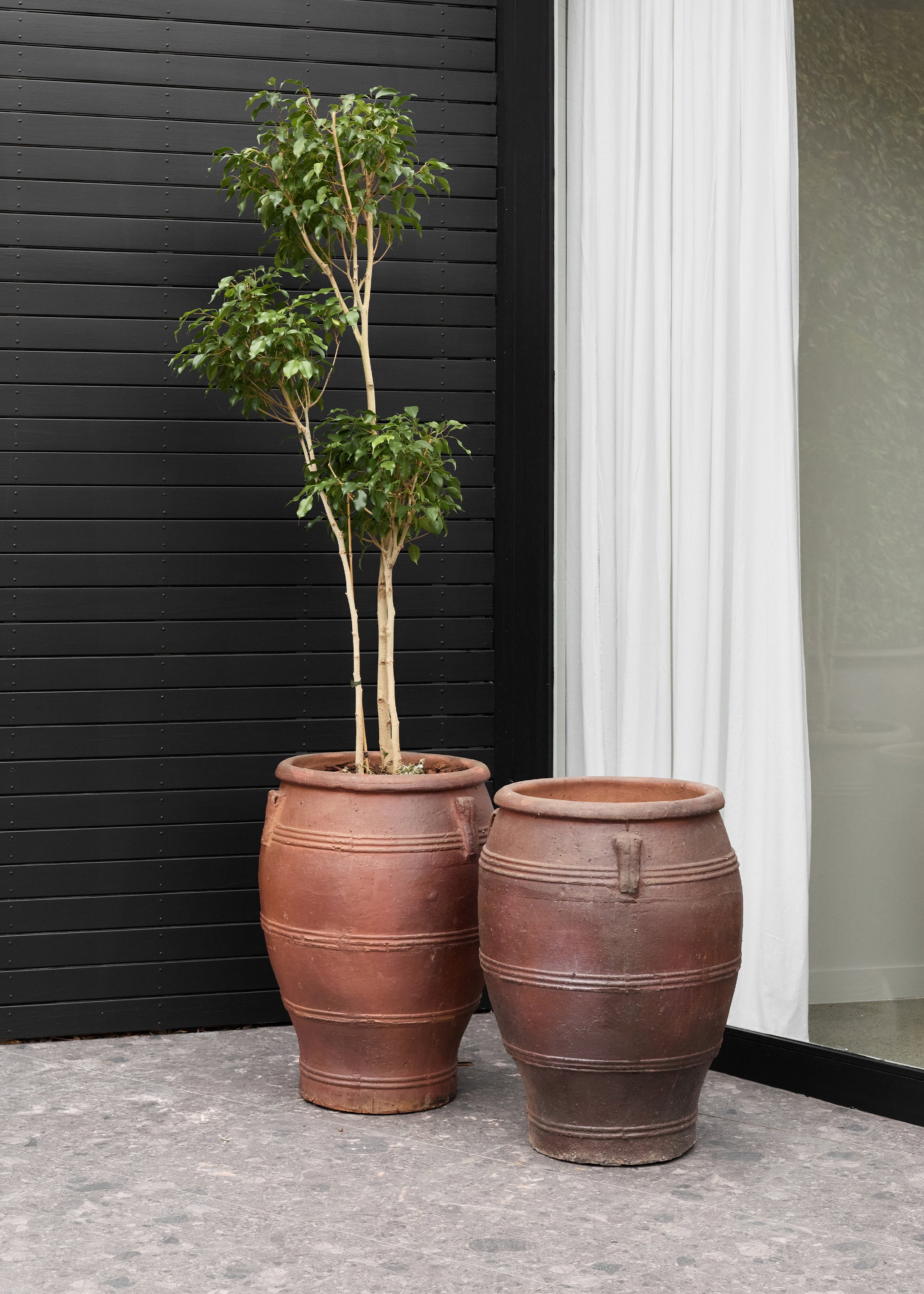 Bursa Black Soil Pot