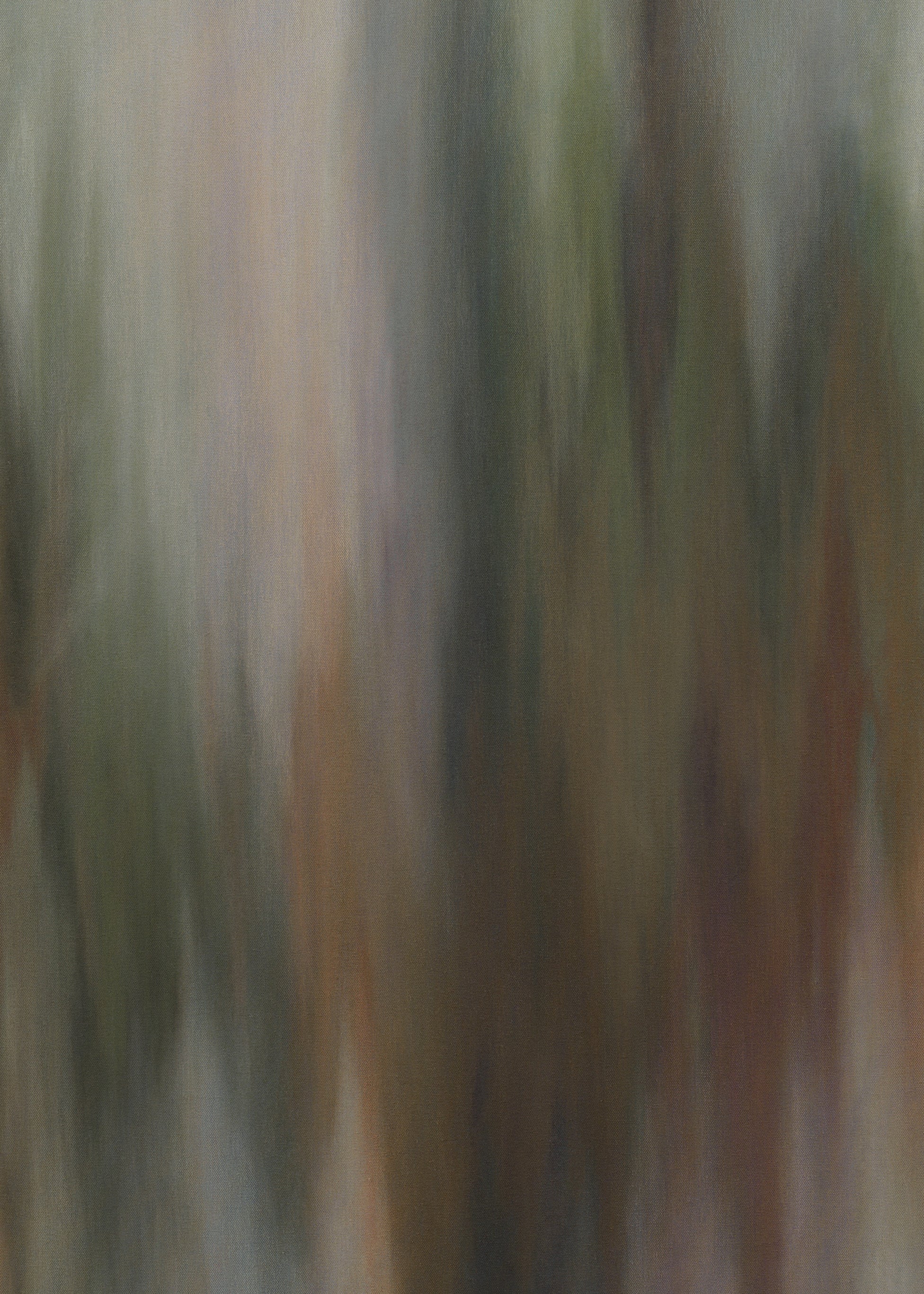 Gathering Light / Holly Clarke