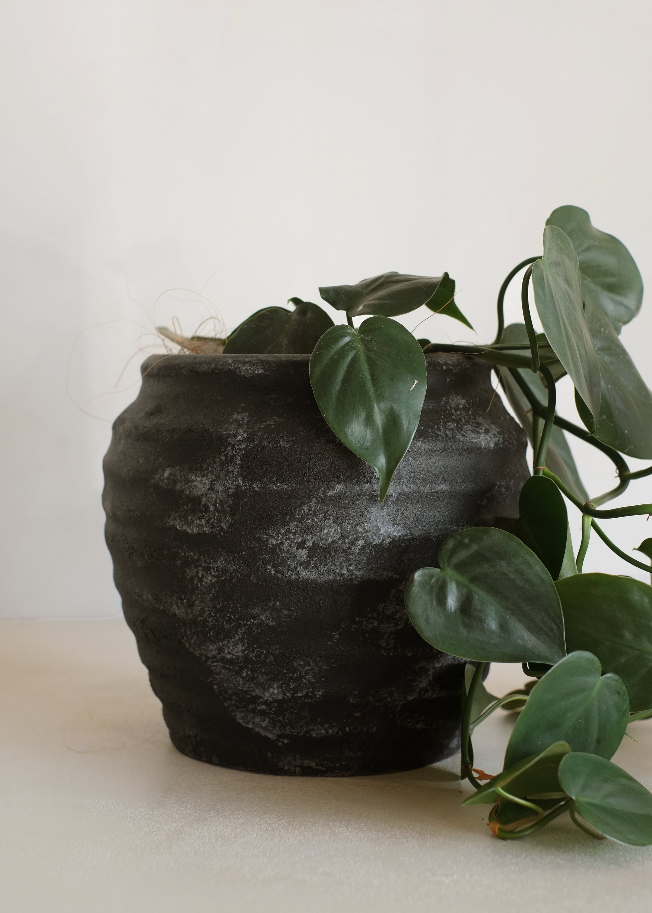 Nemu Antique Vase / Black