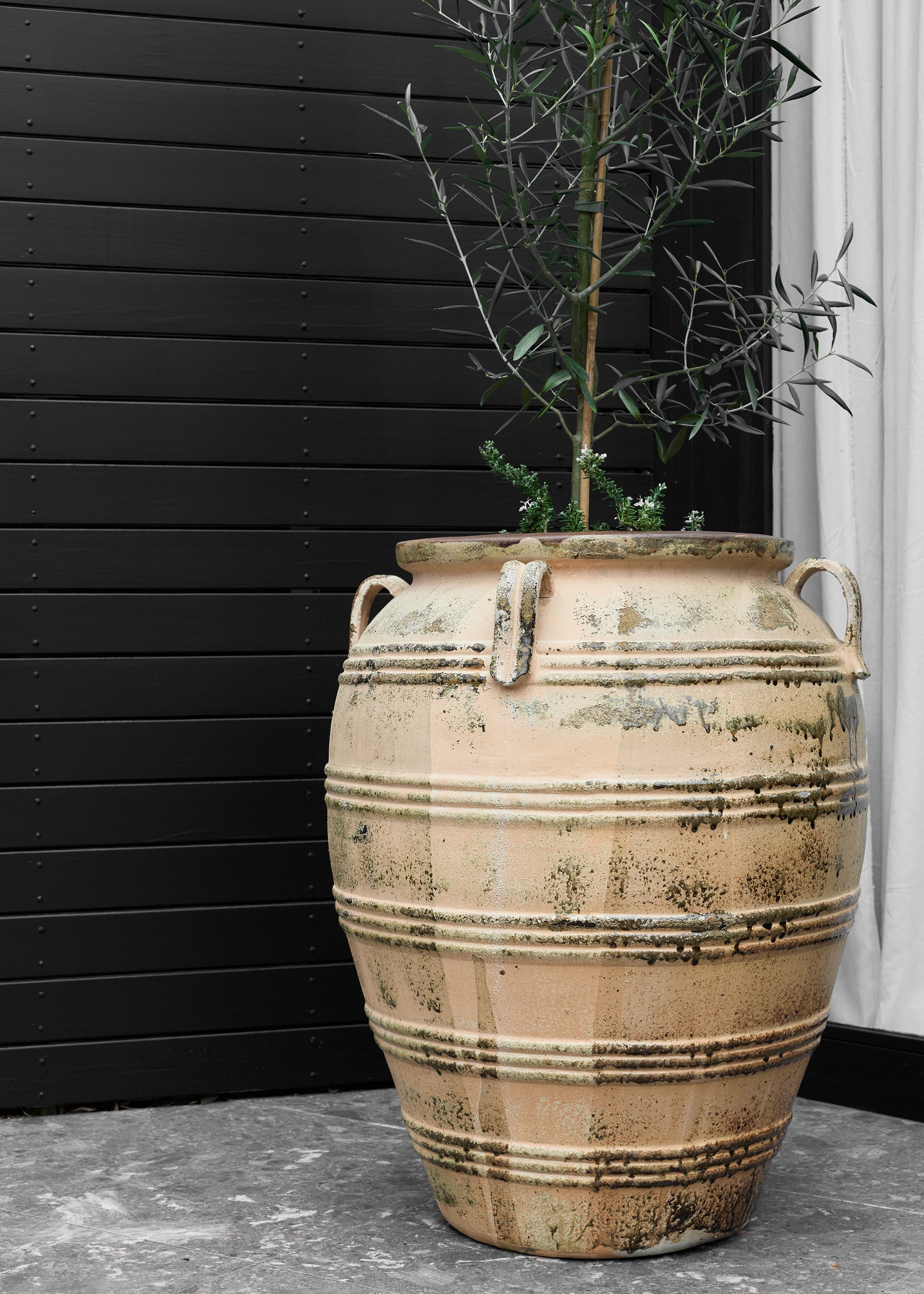 Pamu Antique Pot