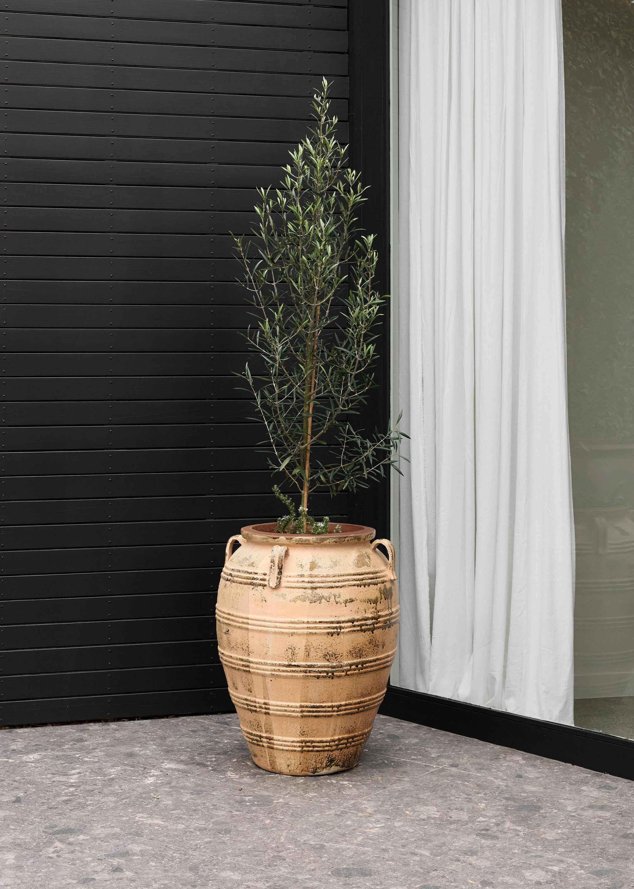 Pamu Antique Pot